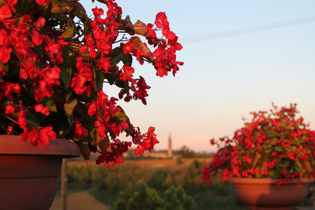 Agriturismo Le Casette กาสเตลเวโตร ดิ โมเดนา ภายนอก รูปภาพ
